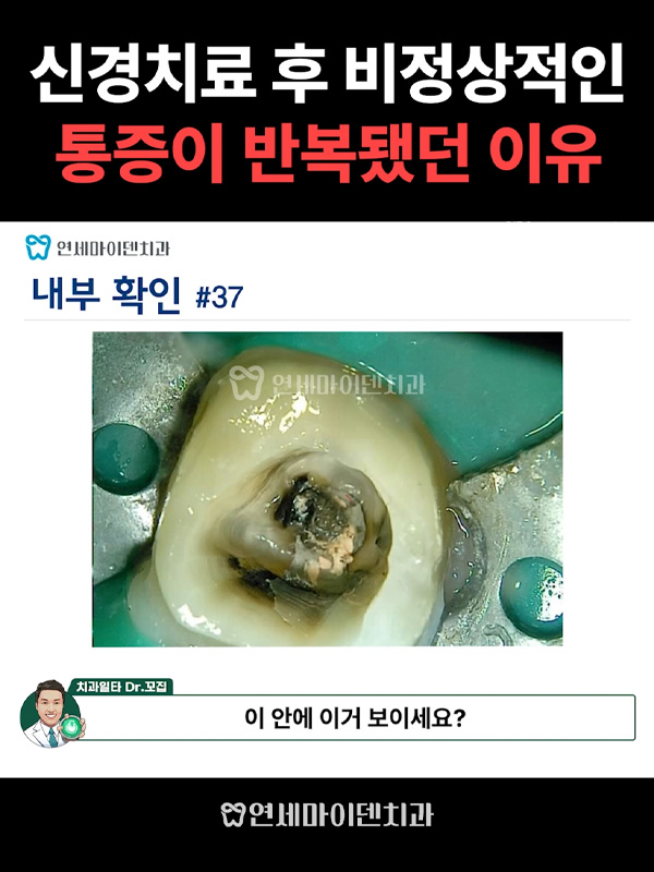 케이스244_admin_01.jpg