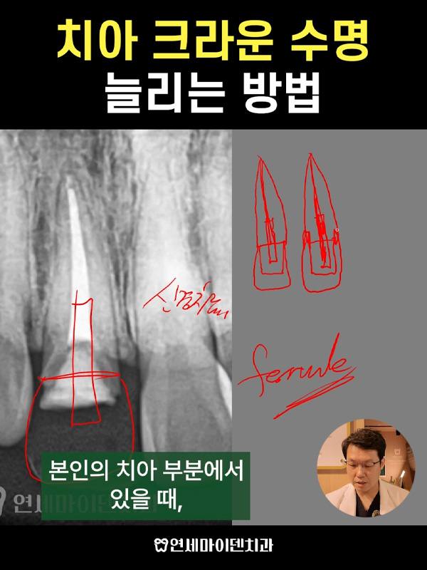 케이스253_admin_1.jpg