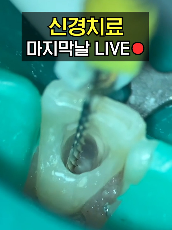 치료과정01_admin.jpg