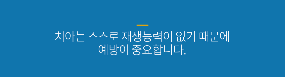 컨텐츠