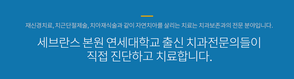 컨텐츠