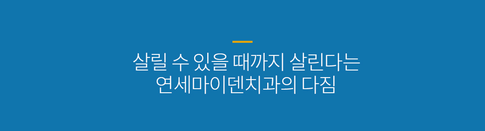 컨텐츠